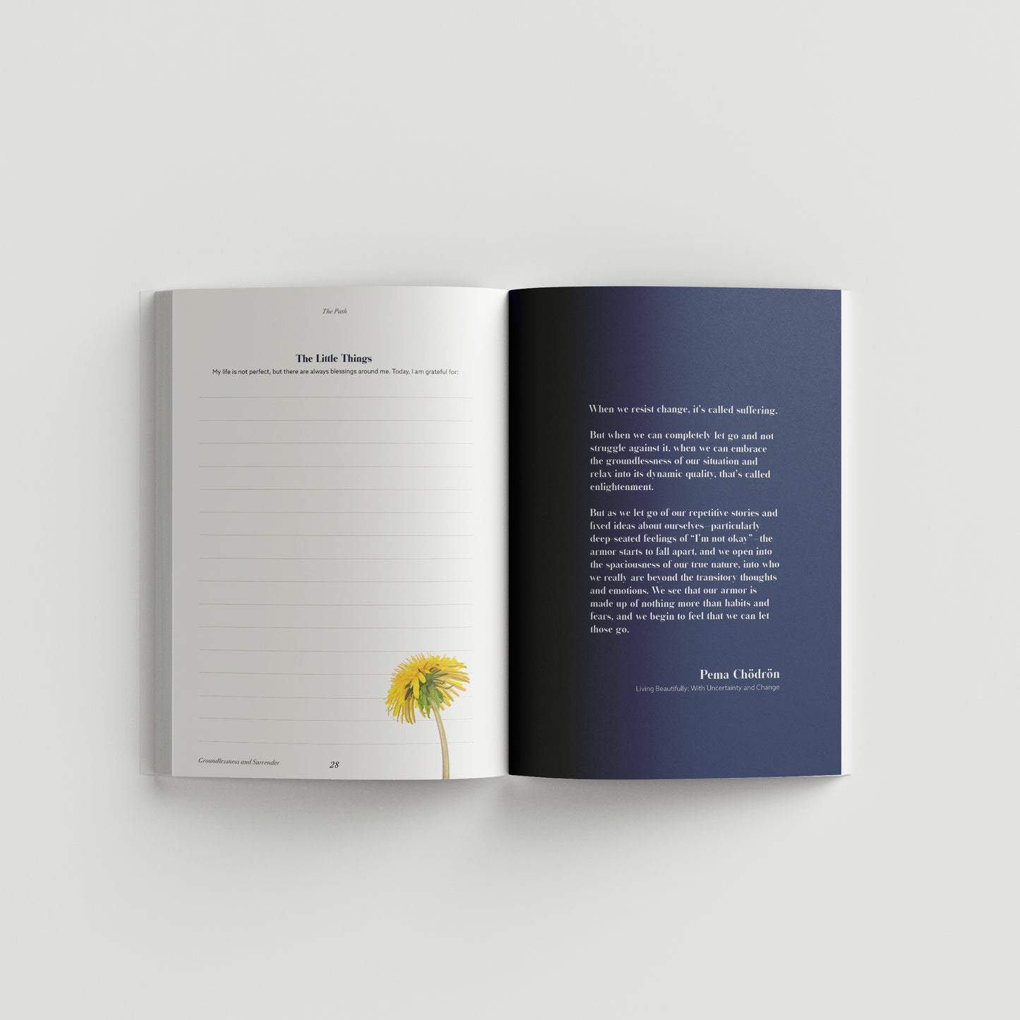 The Path Journal, JOLT Book Gift Package